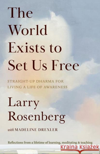 The World Exists to Set Us Free: Straight-Up Dharma for Living a Life of Awareness