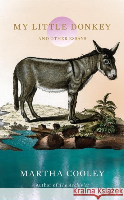 My Little Donkey: And Other Essays