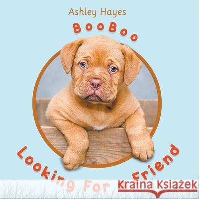 Booboo Looking for a Friend