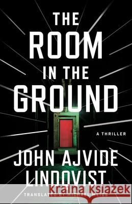 The Room in the Ground: A Thriller