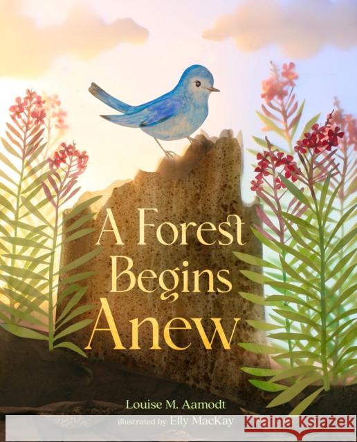 A Forest Begins Anew