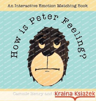 How is Peter Feeling?: An Interactive Emotion Matching Book