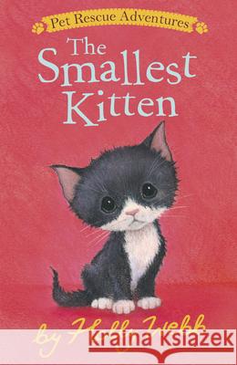 The Smallest Kitten