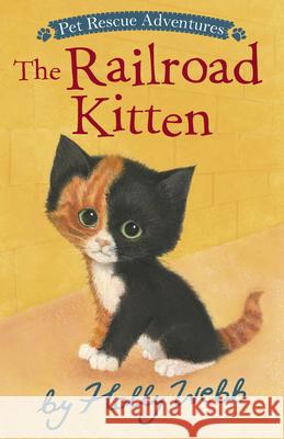 The Railroad Kitten