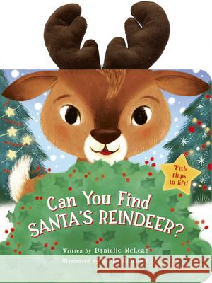 Can You Find Santa's Reindeer?: With Flaps to Lift!