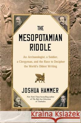 The Mesopotamian Riddle: An Archaeologist, a Soldier, a Clergyman and the Race to Decipher the World's Oldest Writing