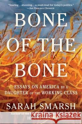 Bone of the Bone: Essays on America by a Daughter of the Working Class
