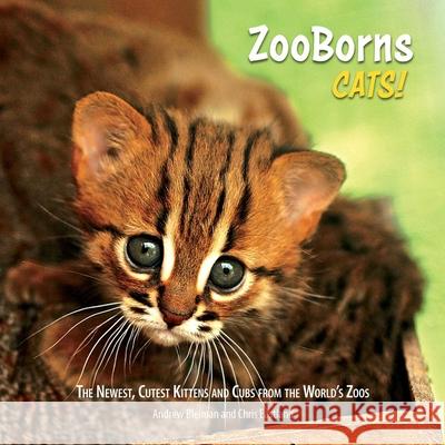 ZooBorns Cats!: The Newest, Cutest Kittens and Cubs from the World's Zoos