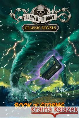 Book of Storms: A Graphic Novel