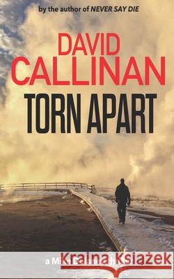 Torn Apart: gripping, addictive, Mike Delaney suspense thriller