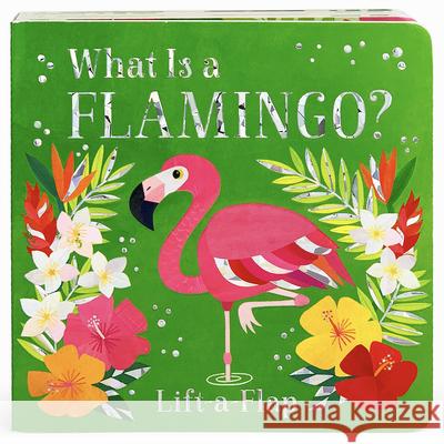 What Is a Flamingo?