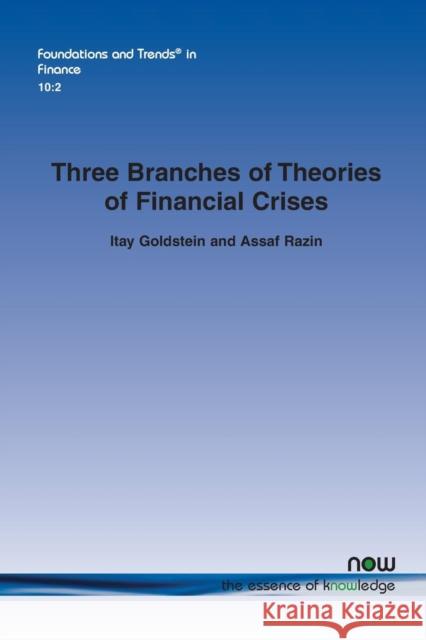 Three Branches of Theories of Financial Crises