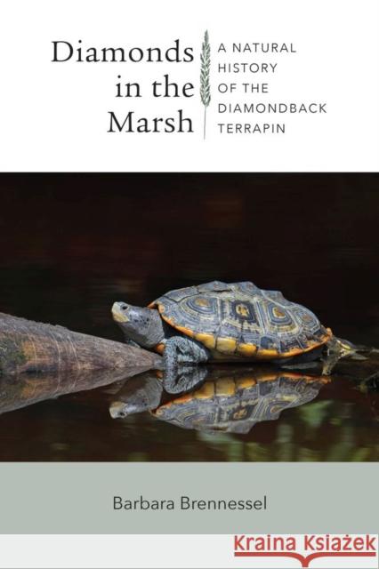 Diamonds in the Marsh: A Natural History of the Diamondback Terrapin