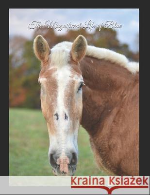 The Magnificent Life of Blue