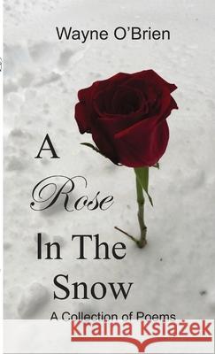 A Rose In The Snow