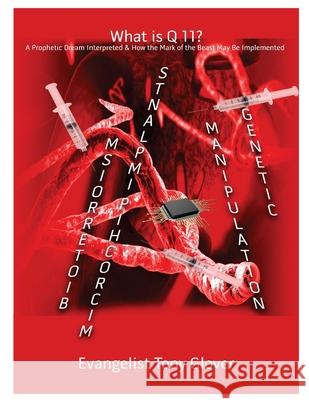 What Is Q11?: A Prophetic Dream Interpreted & How the Mark of the Beast May Be Implemented