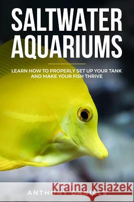 Saltwater Aquariums: Learn How to Properly Set Up Your Tank and Make Your Fish Thrive