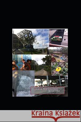 Siomai and Friends Fries