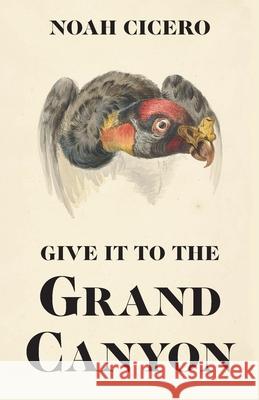 Give It to the Grand Canyon