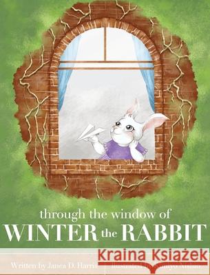 Through the Window of Winter the Rabbit