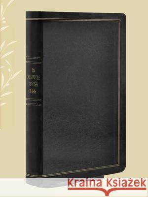 Complete Jewish Bible: An English Version by David H. Stern - Giant Print