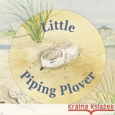 Little Piping Plover
