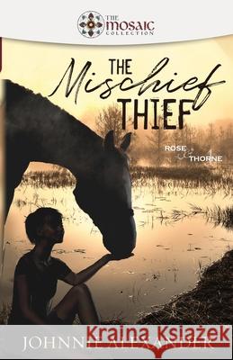 The Mischief Thief