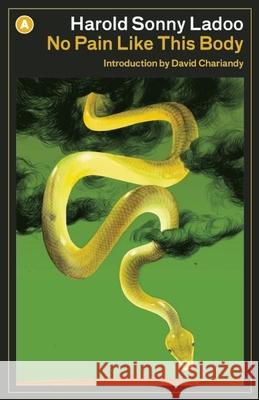 No Pain Like This Body