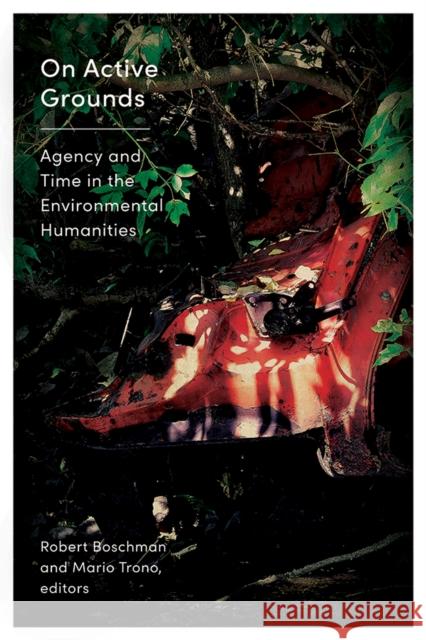 On Active Grounds: Agency and Time in the Environmental Humanities