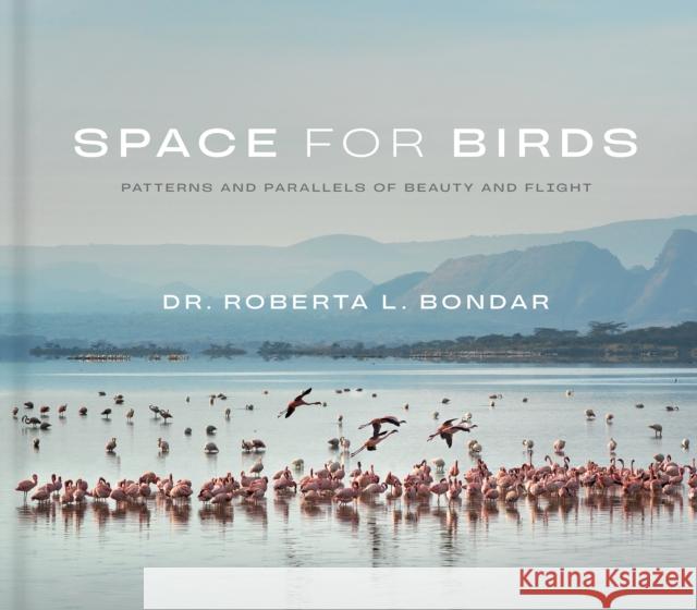 Space for Birds: Patterns and Parallels of Beauty and Flight