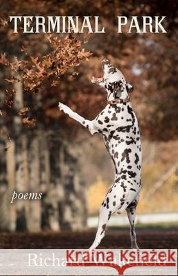 Terminal Park: Poems