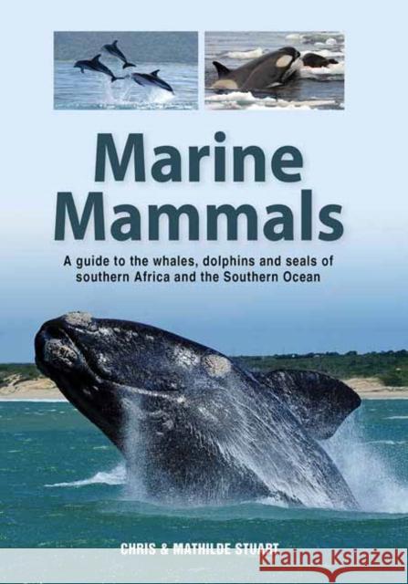 Marine Mammals: A Guide to the Whales, Dolphins and Seals of Southern Africa and the Southern Ocean