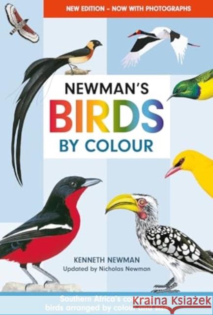 Newman's Birds by Colour: Southern Africa's Common Birds Arranged by Colour and Size