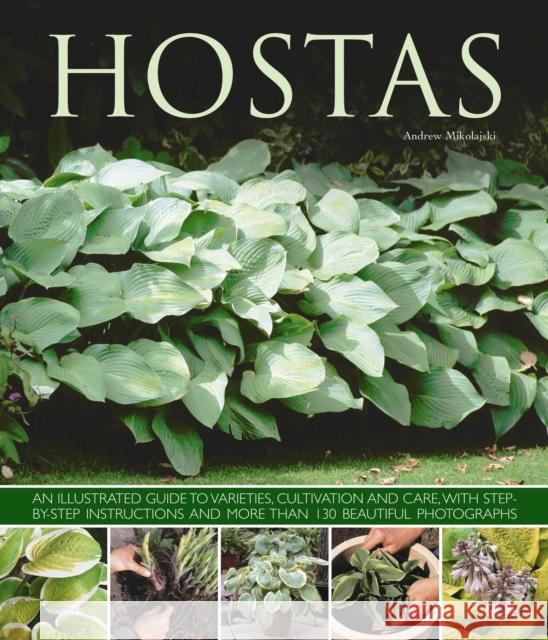 Hostas: an Illustrated Guide to Varieties, Cultivation and Care, with Step-by-step Instructions and More Than 130 Beautiful Photographs