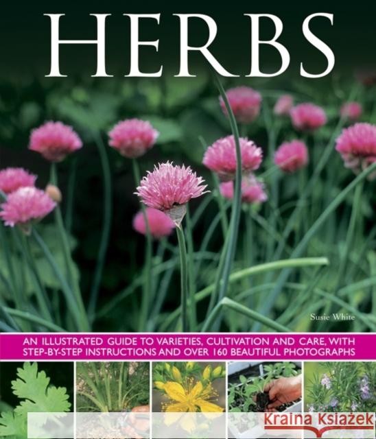 Herbs: An Illustrated Guide to Varieties, Cultivation and Care, with Step-by-step Instructions and Over 160 Beautiful Photographs