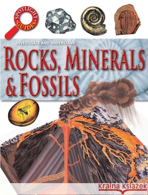 Rocks Minerals and Fossils
