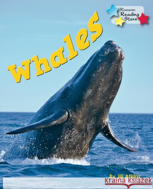 Whales