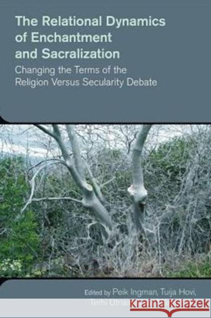 The Relational Dynamics of Enchantment and Sacralization: Changing the Terms of the Religion Versus Secularity Debate
