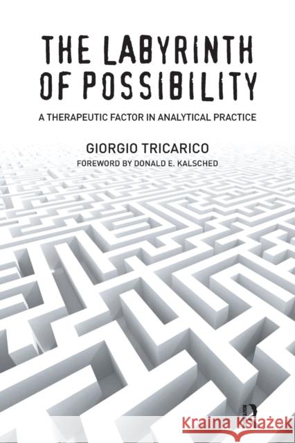 The Labyrinth of Possibility: A Therapeutic Factor in Analytical Practice