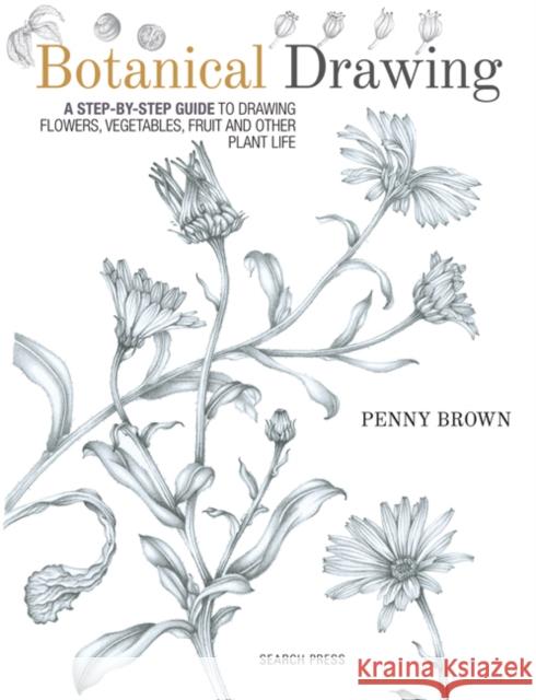 Botanical Drawing: A Step-by-Step Guide to Drawing Flowers, Vegetables, Fruit and Other Plant Life