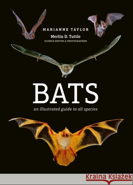 Bats: An illustrated guide to all species