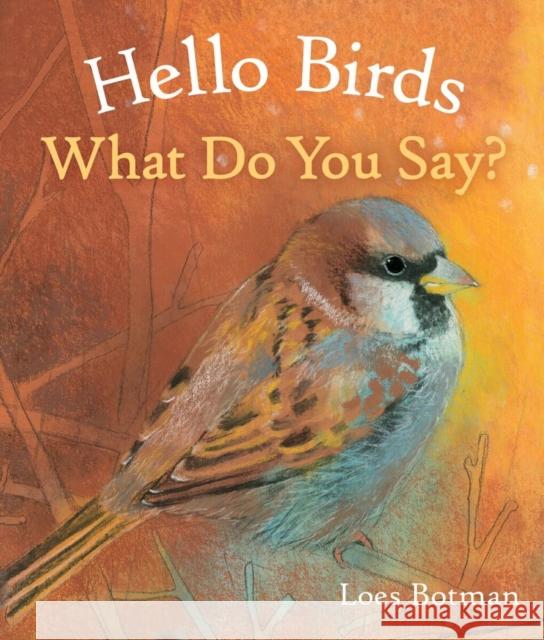 Hello Birds, What Do You Say?