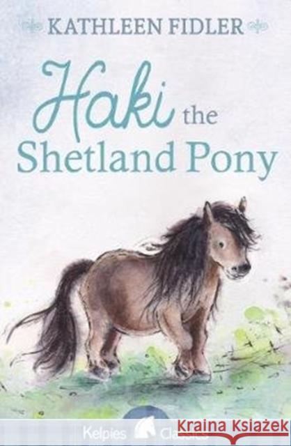 Haki the Shetland Pony