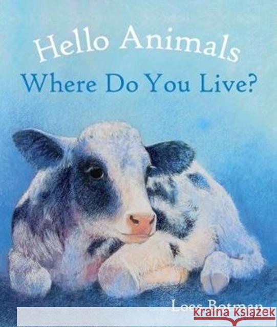 Hello Animals, Where Do You Live?