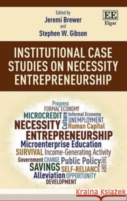 Institutional Case Studies on Necessity Entrepreneurship: Volume 2: Pragmatic Approaches to Solving the Necessity Entrepreneur Dilemma