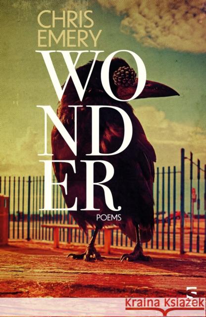 Wonder