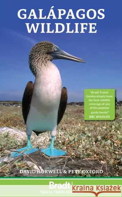 Galapagos Wildlife