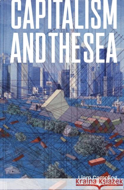 Capitalism and the Sea: The Maritime Factor in the Making of the Modern World