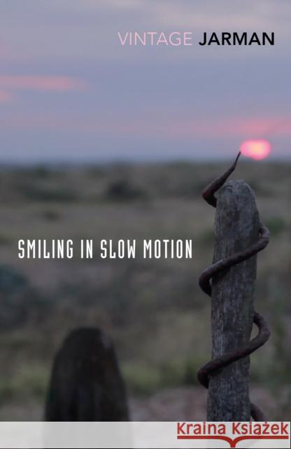 Smiling in Slow Motion: Journals, 1991–1994