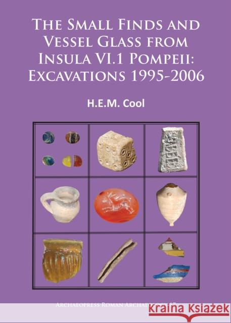 The Small Finds and Vessel Glass from Insula VI.1 Pompeii: Excavations 1995-2006